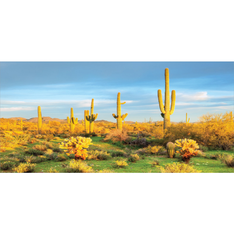 Sonoran Desert Blooms Mug