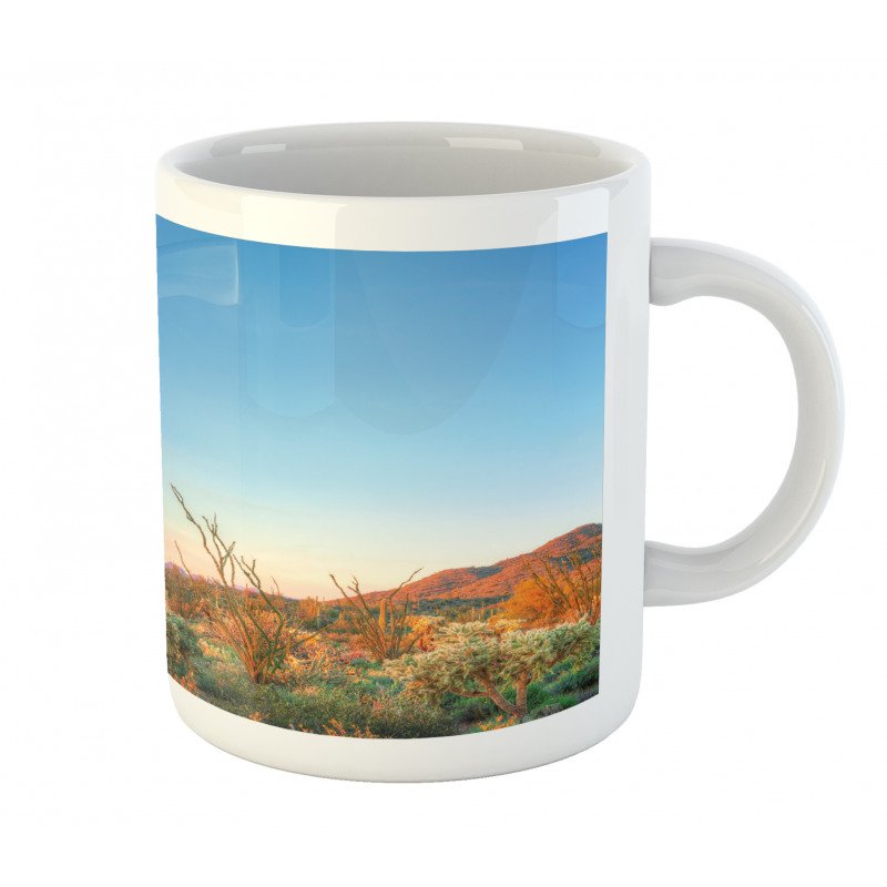 Sun in Desert Cactus Mug