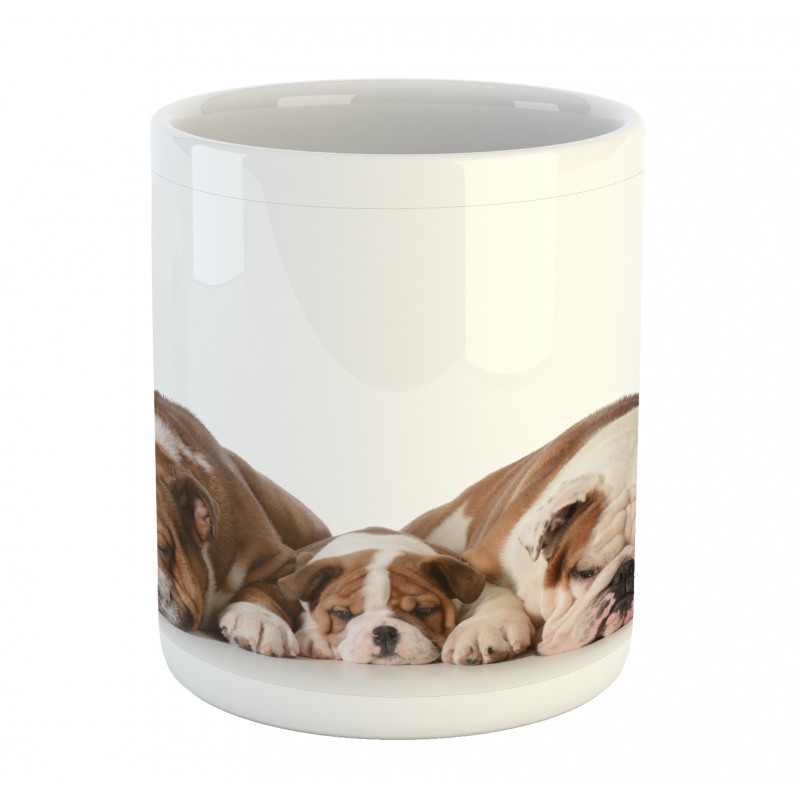 Image of 3 Generations Dogs Mug