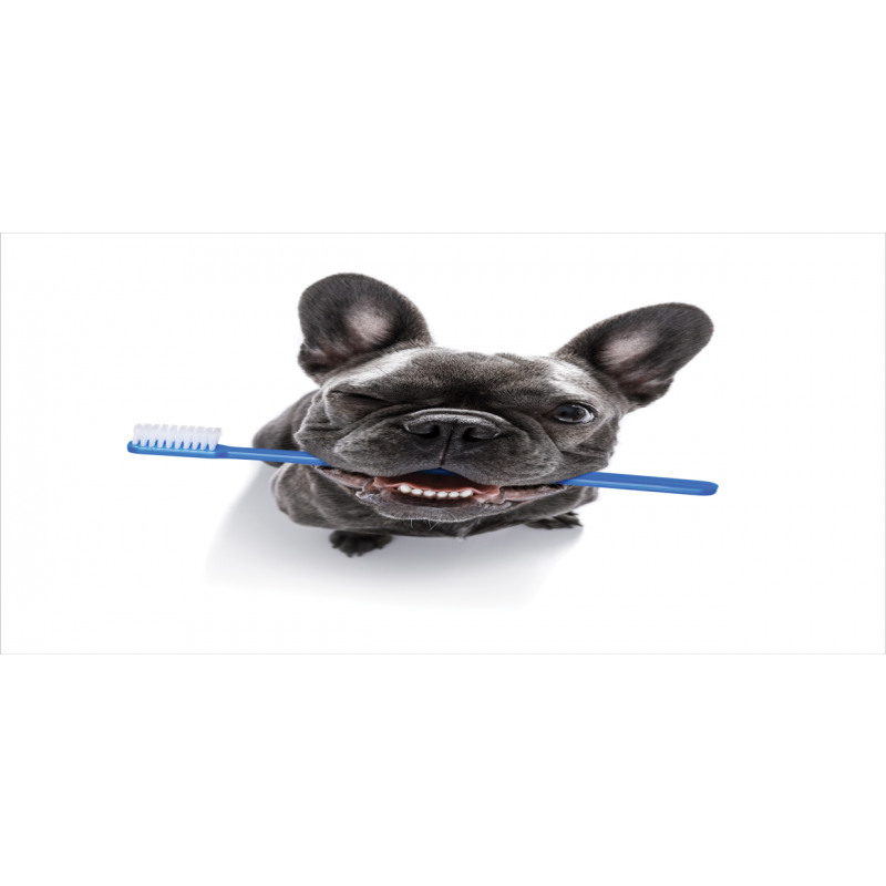 Funny Dog with Toothbrush Mug