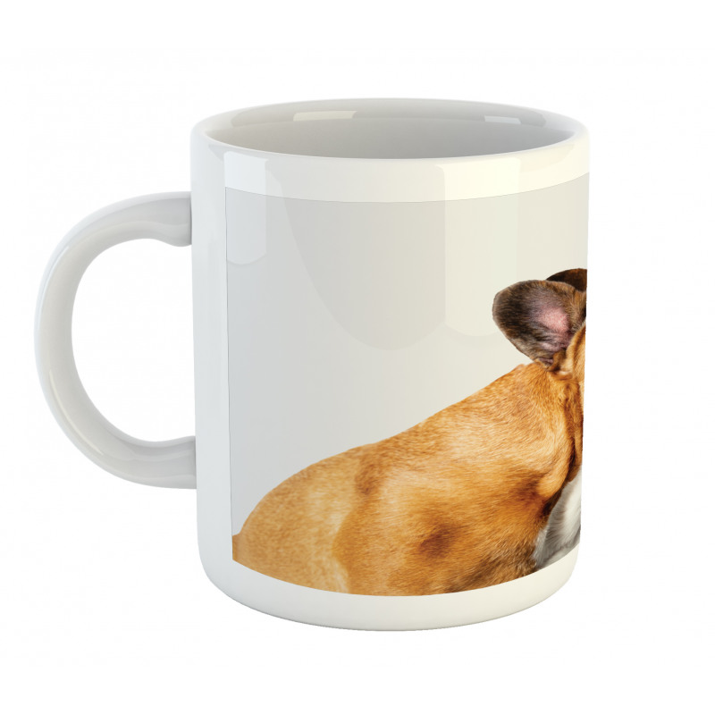 Young Pet Posing Side Shot Mug