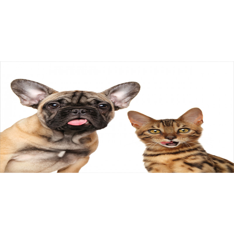 Cat and Dog Shocked Staring Mug