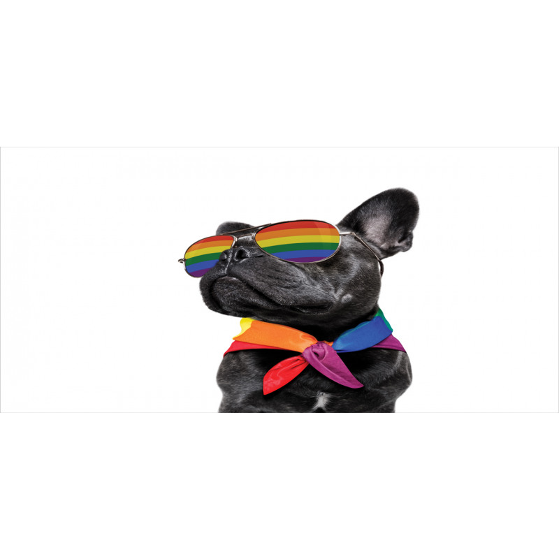 Proud Gay Pet Posing Funny Mug