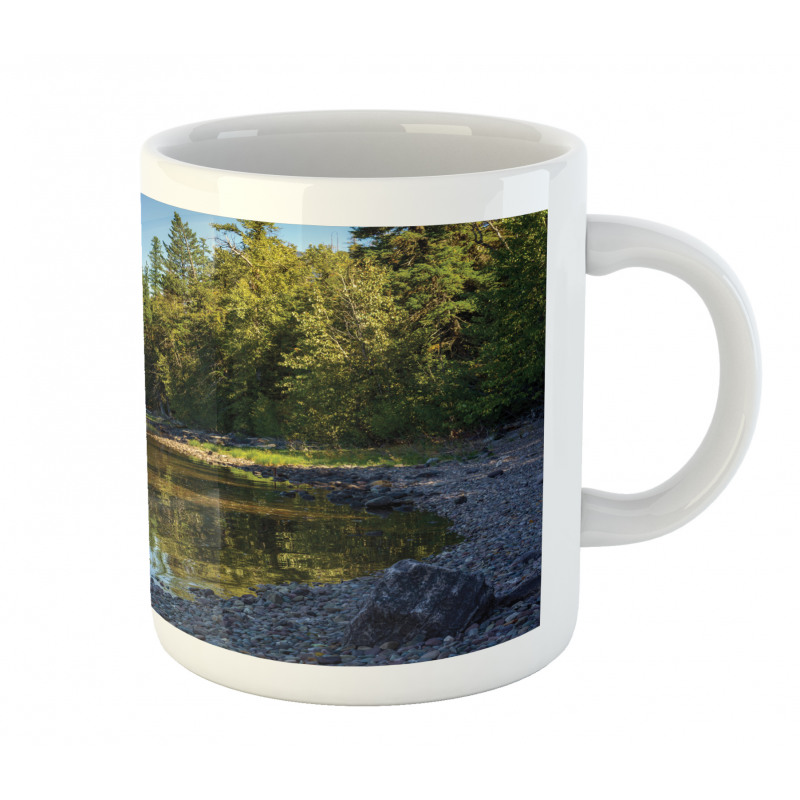 Lake Forest Mug