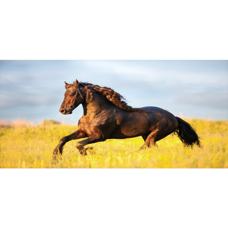 Meadow Mystery Horse Mug