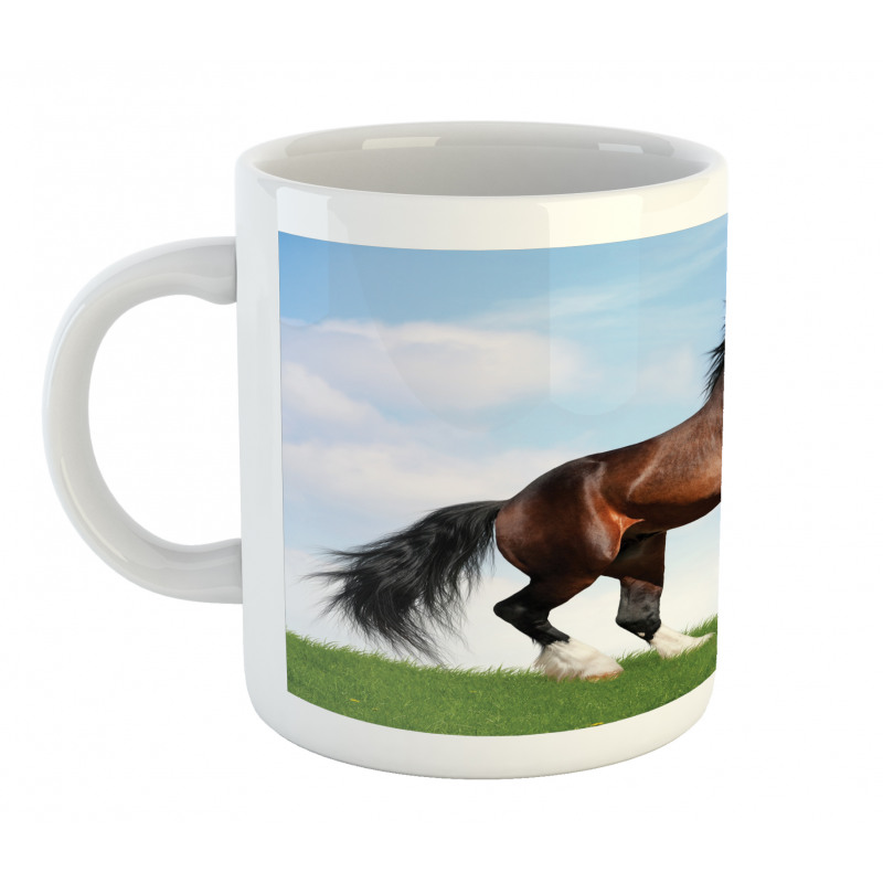 Horse Pacing on Grass Mug