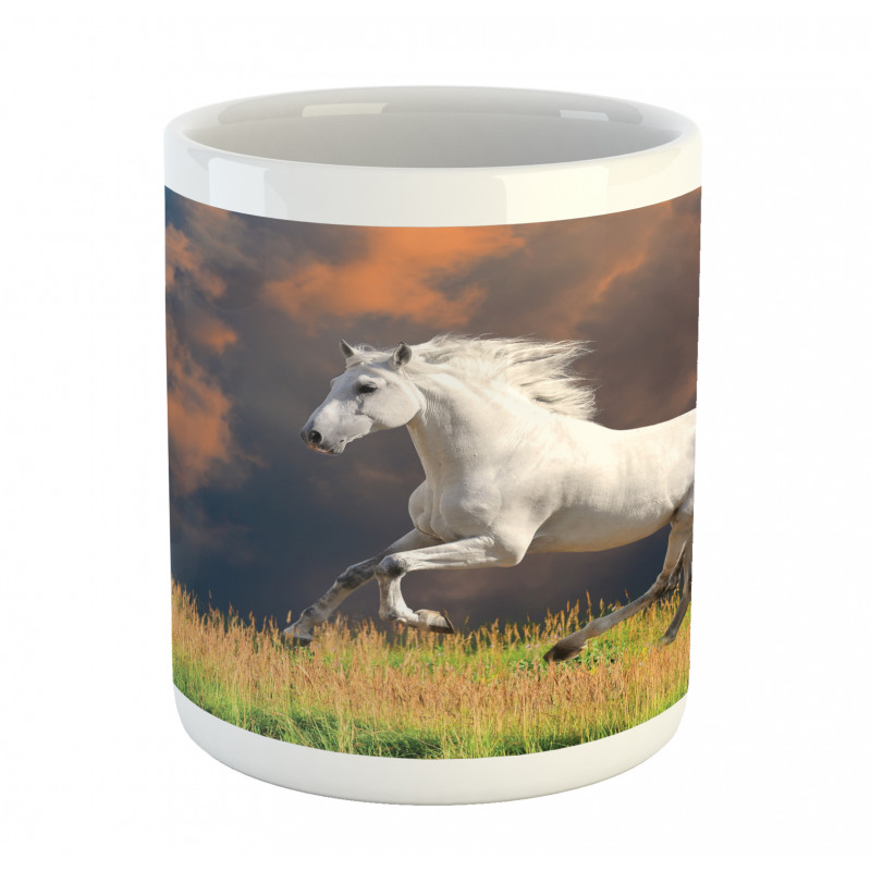 Andalusian Horse Dusk Mug