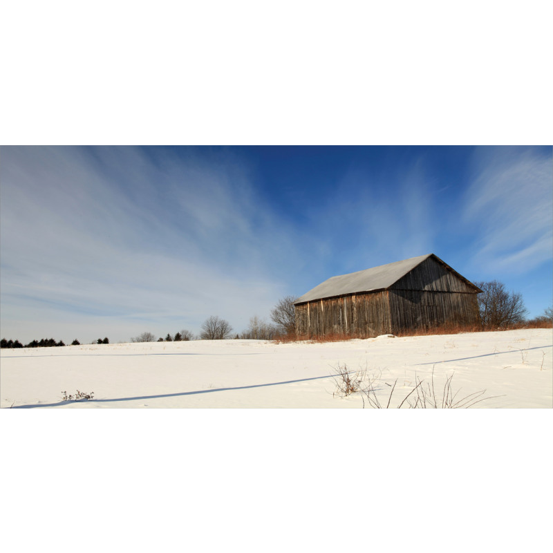 Abandoned Barn Winter Mug