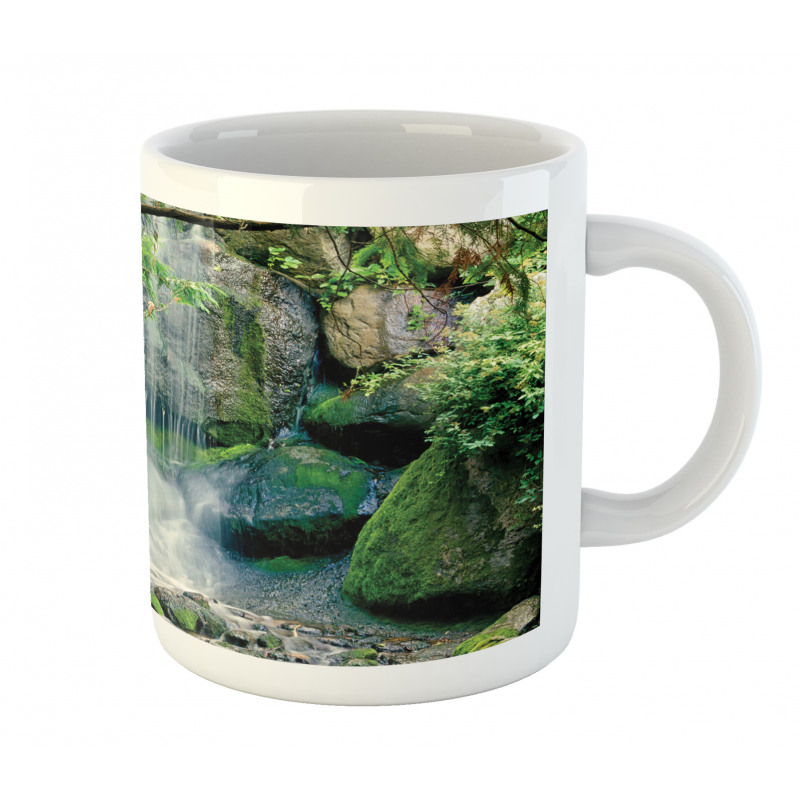 Waterfall Flows Rocks Mug