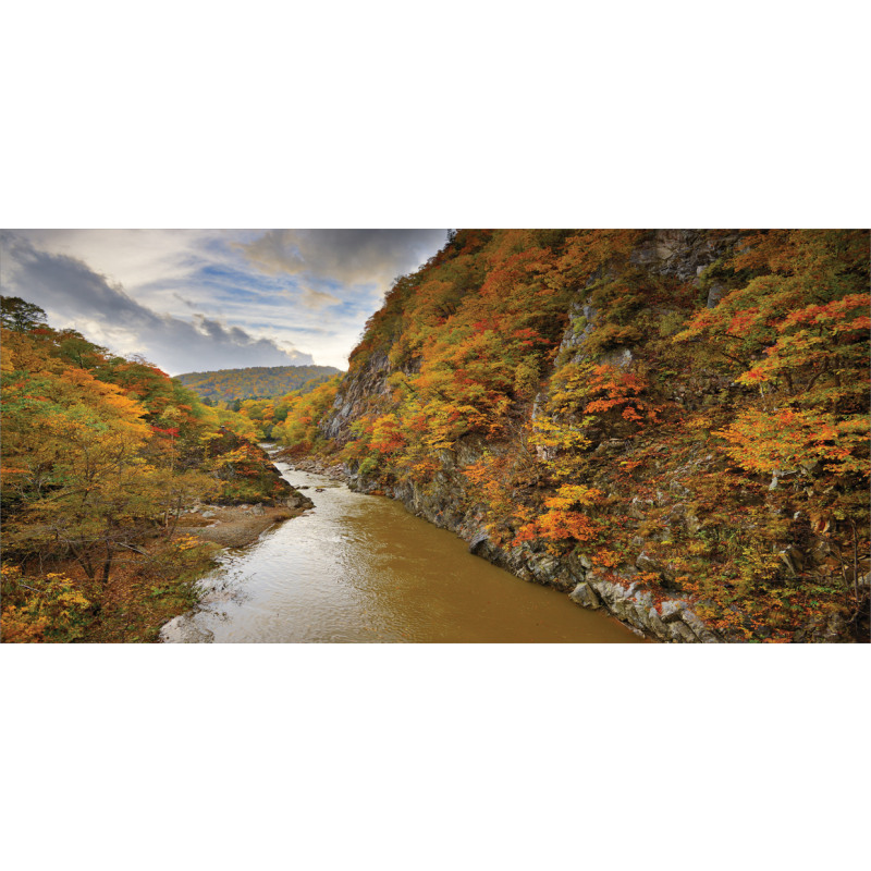 River Autumn Colors Mug