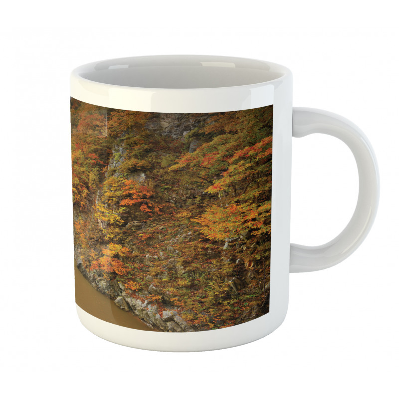 River Autumn Colors Mug