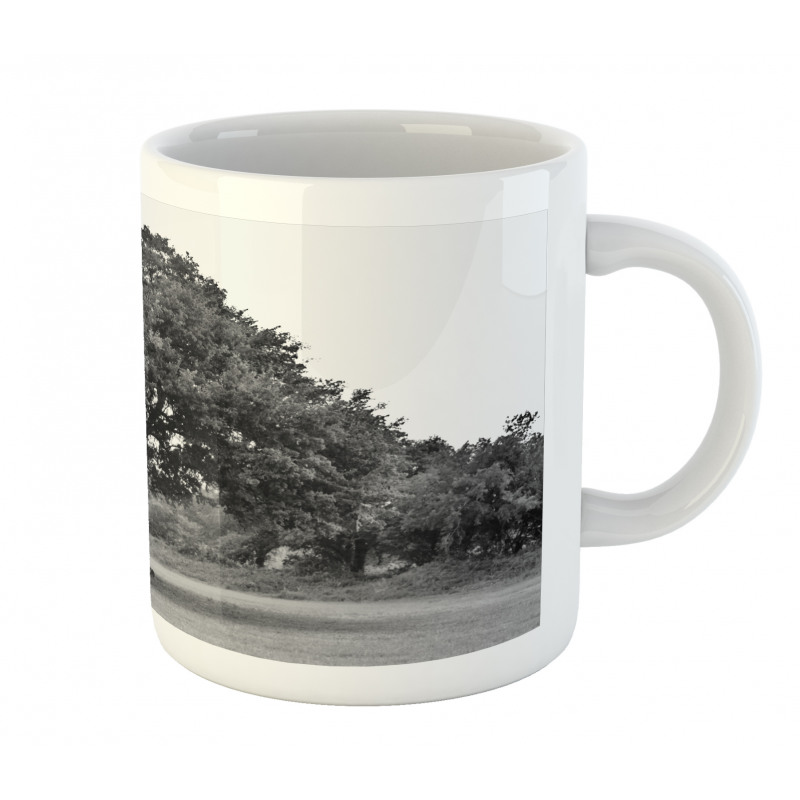 Leafy Big Tree Vintage Mug