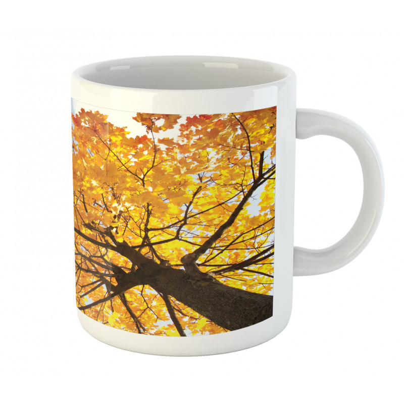 Maple Leaves Fall Autumn Mug