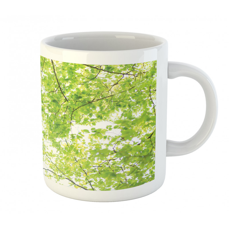 Nature Summertime Green Mug