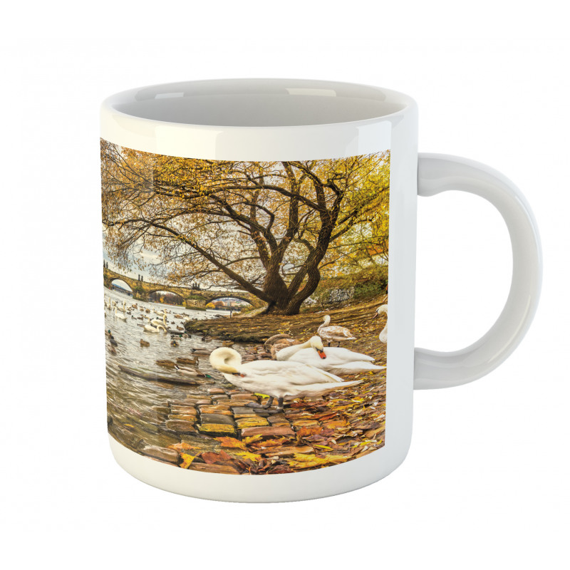 Swimming Swans in River Mug