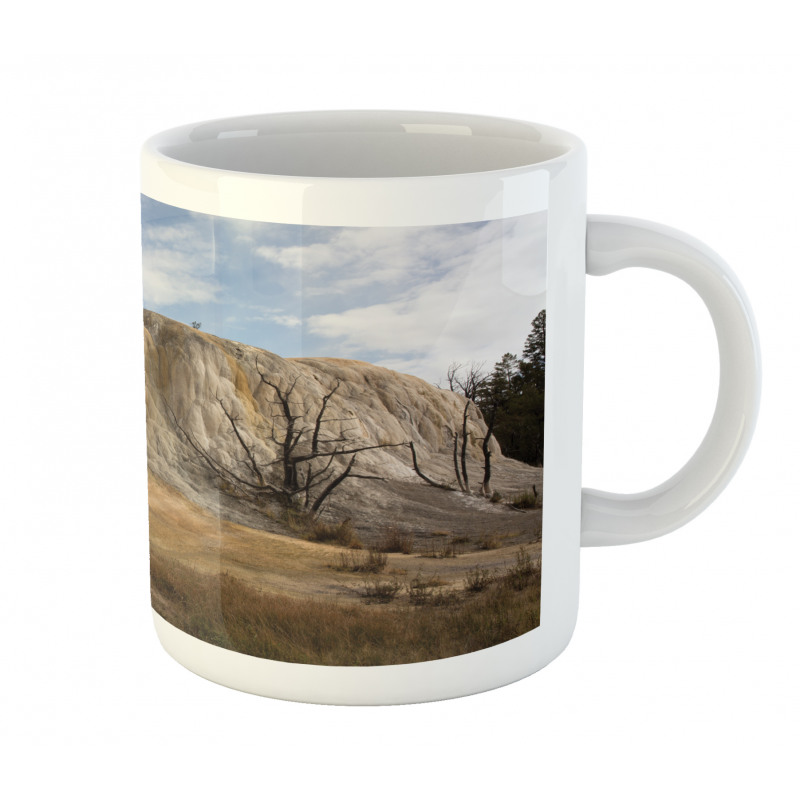 Rock Orange Spring Mug