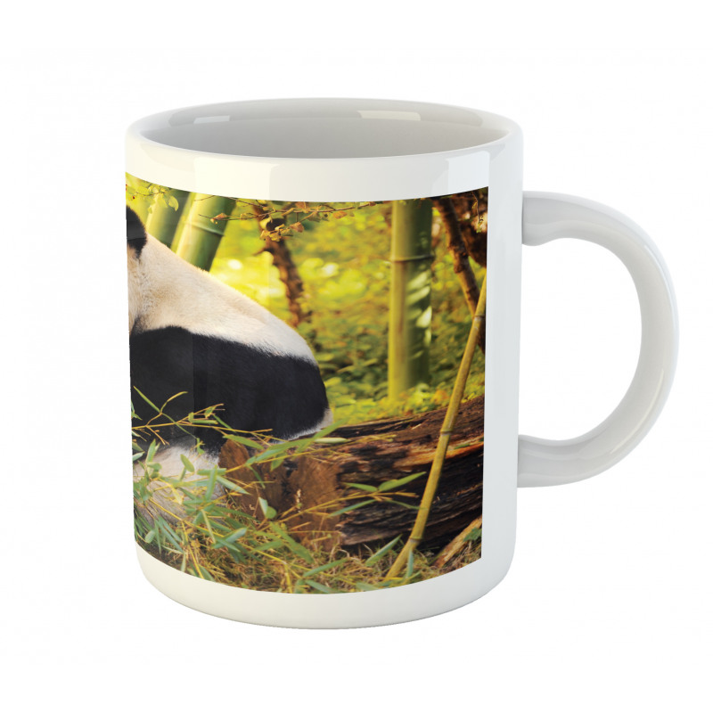 Panda Sitting in Forest Mug