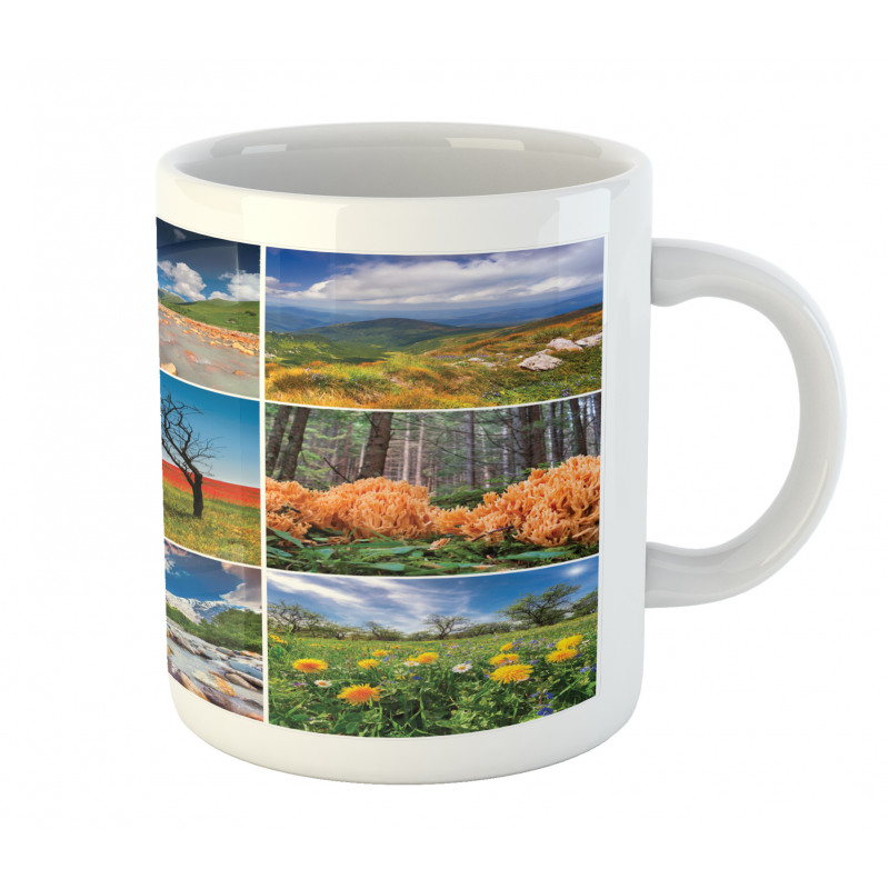 Springtime Countryside Mug