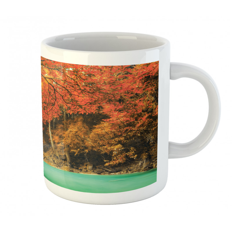 Autumn Nature Forest Mug