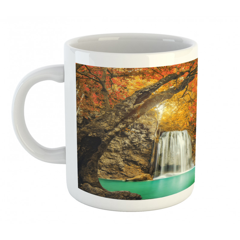 Autumn Nature Forest Mug