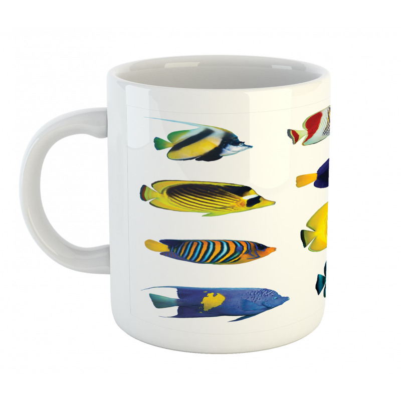 Collage of Sea Animals Mug
