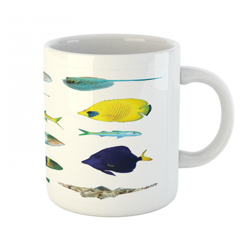 Marine Life Creatures Mug