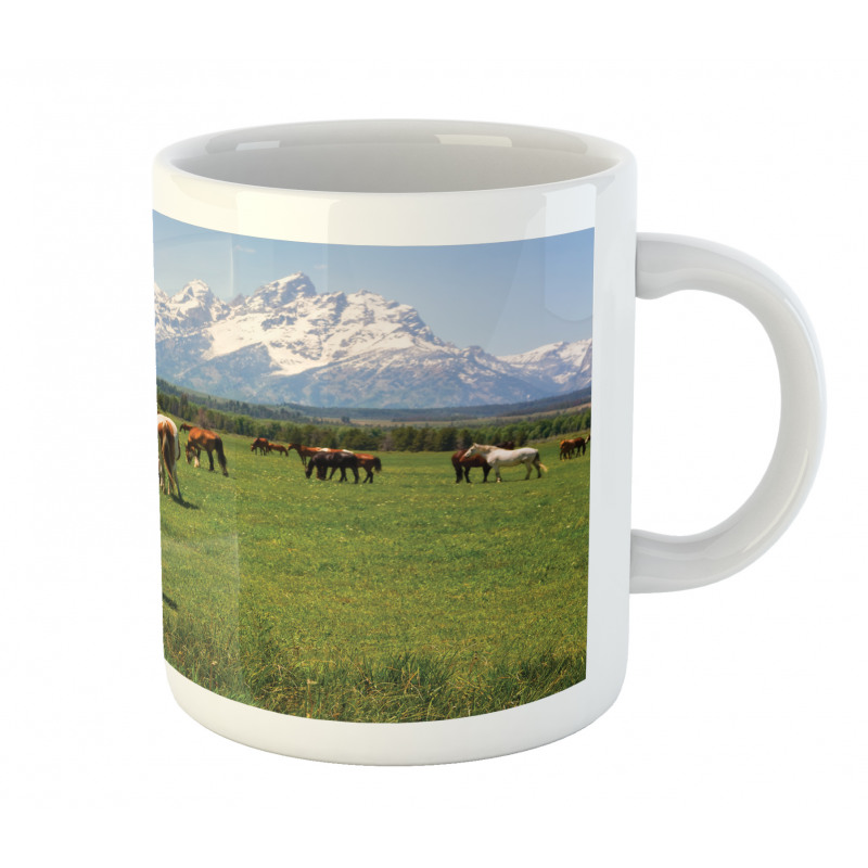 Horses Mug