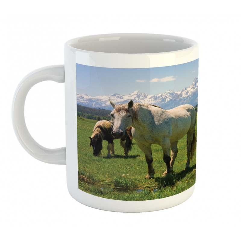 Horses Mug