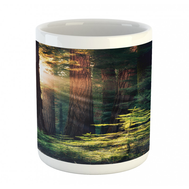 Nevada Morning Sun Mug