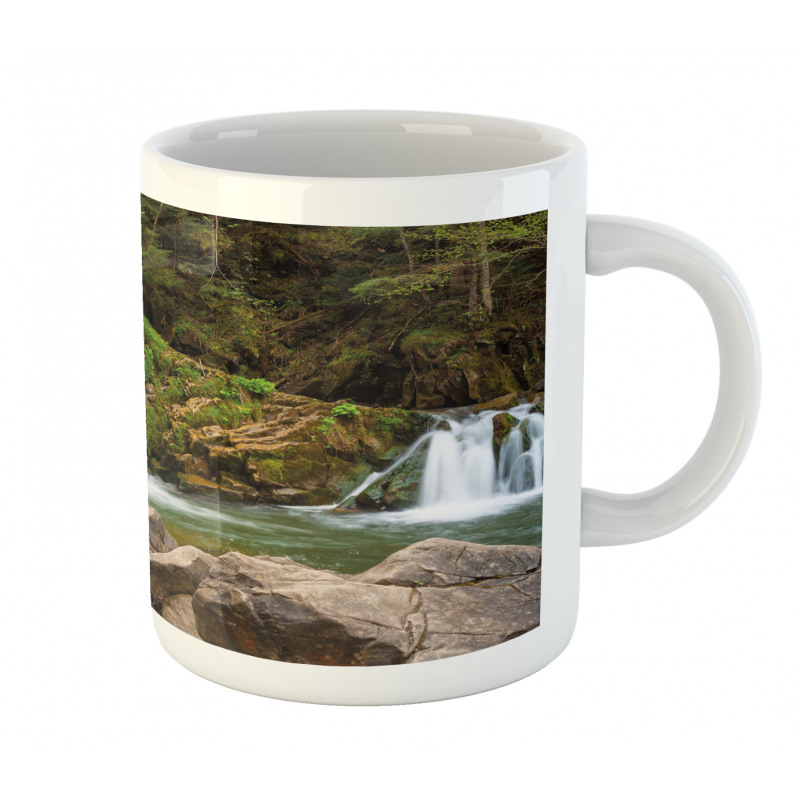 Waterfalls in Mountains Mug