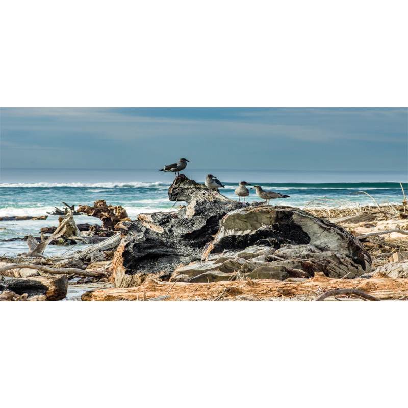 Driftwood Shore Seagull Mug