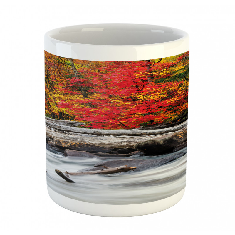 Fall Forest Driftwood Mug