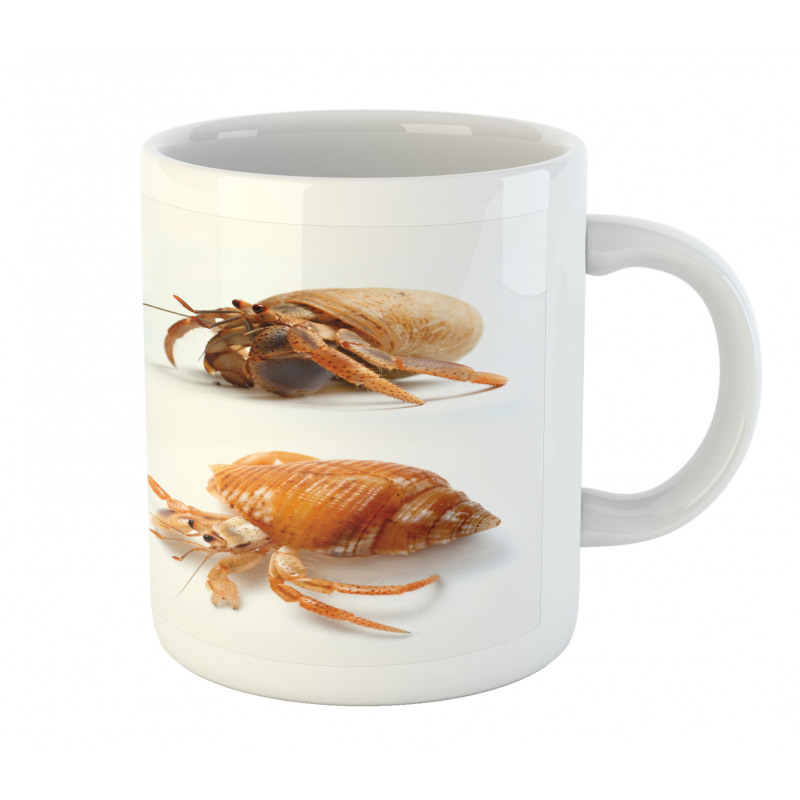 Hermit Crabs Pattern Mug