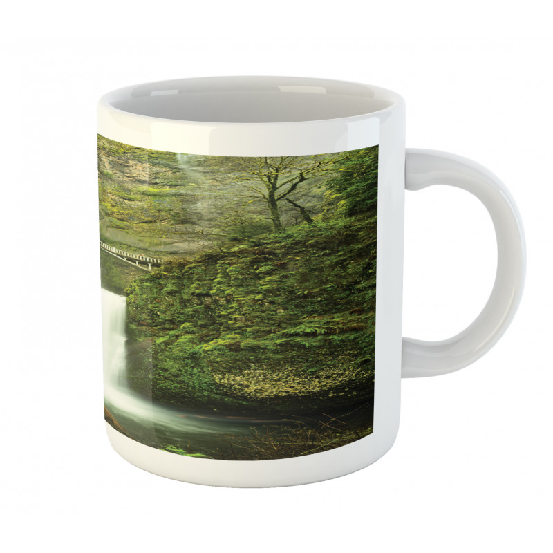 Waterfall Oregon Bridge Mug