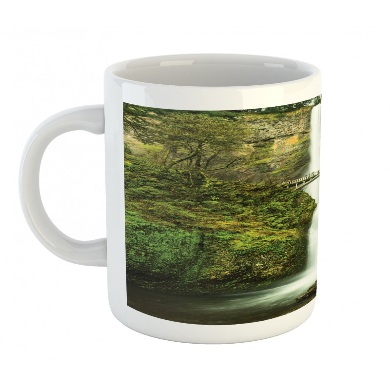 Waterfall Oregon Bridge Mug