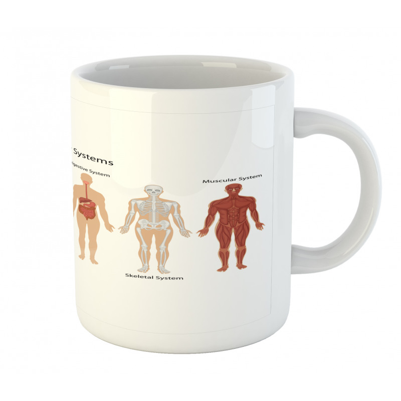 Skeleton System Mug