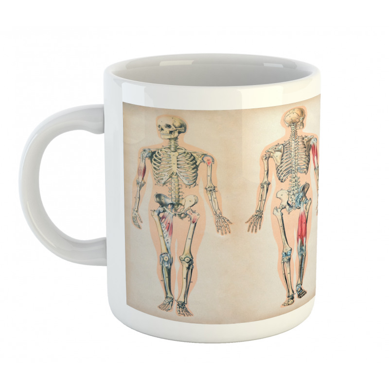 Anatomy Human Body Mug