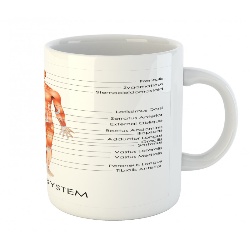 Biology Muscle System Mug