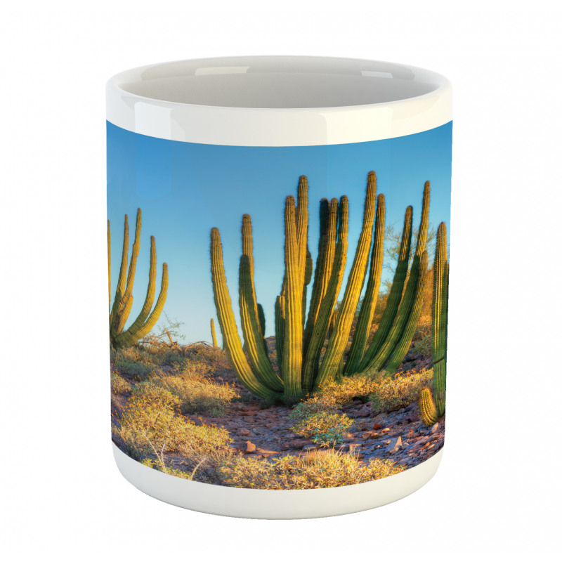 Mountain Cactus Photo Mug