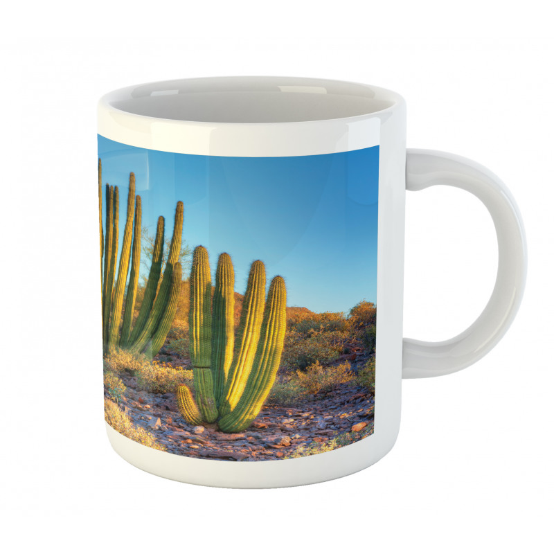 Mountain Cactus Photo Mug