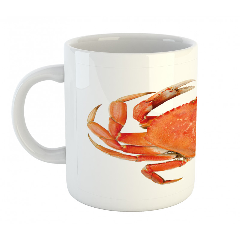 Cooked Dungeness Crab Mug