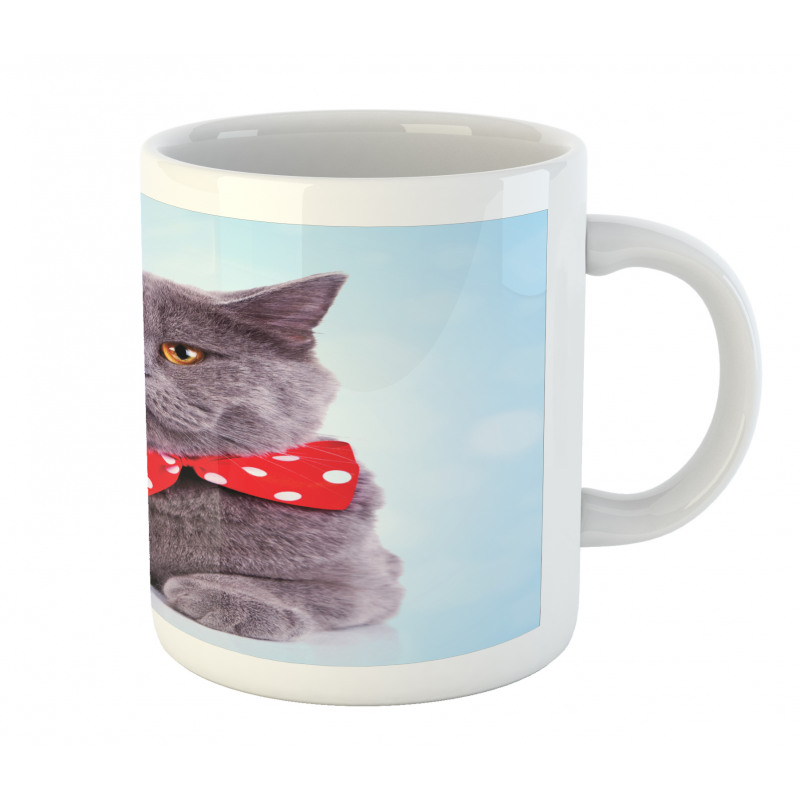 Grey Scottish Fold Theme Mug