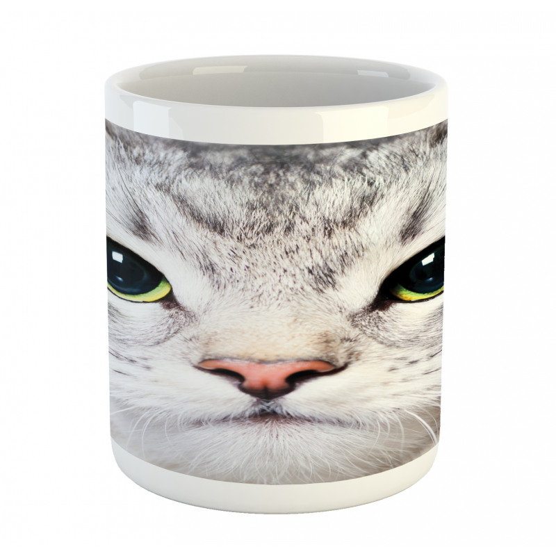 Face of a Domestic Kitty Mug