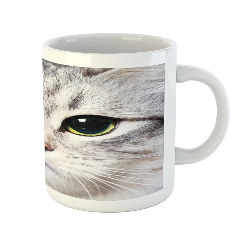 Face of a Domestic Kitty Mug