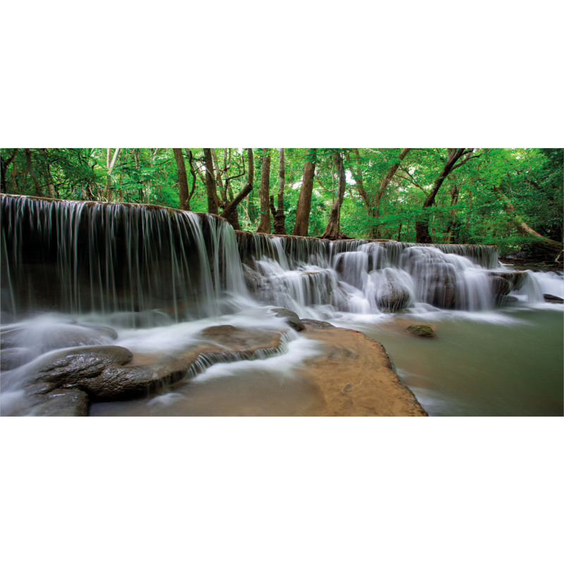 Tropical Forest Scenery Mug