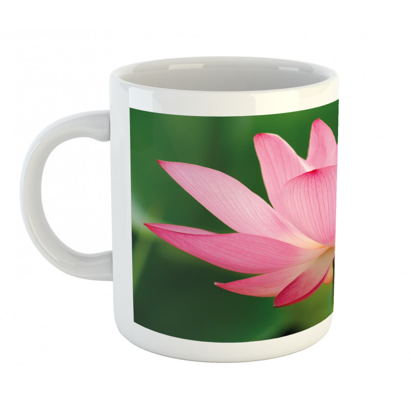Lotus Lily Blossom Mug