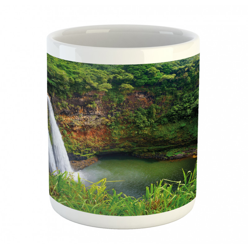 Twin Waterfalls Hawai Mug