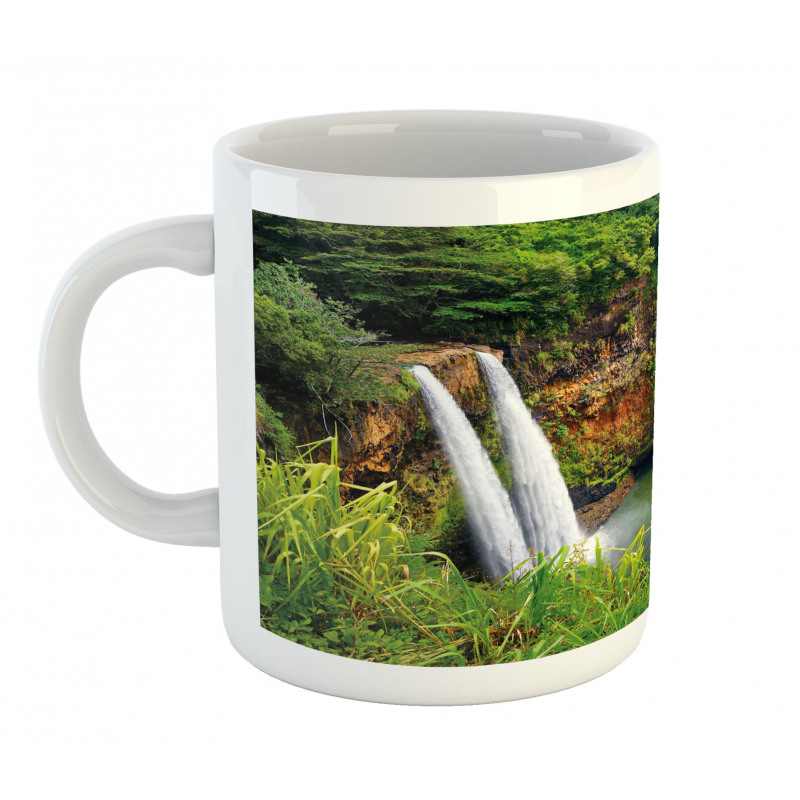 Twin Waterfalls Hawai Mug