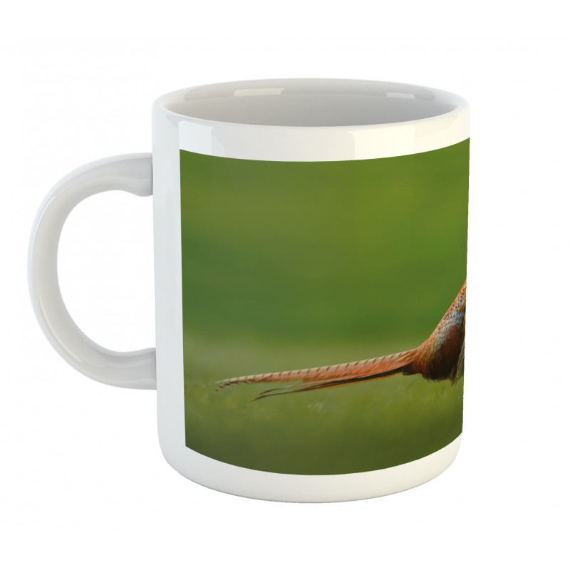 Pheasant Long Tail Meadow Mug