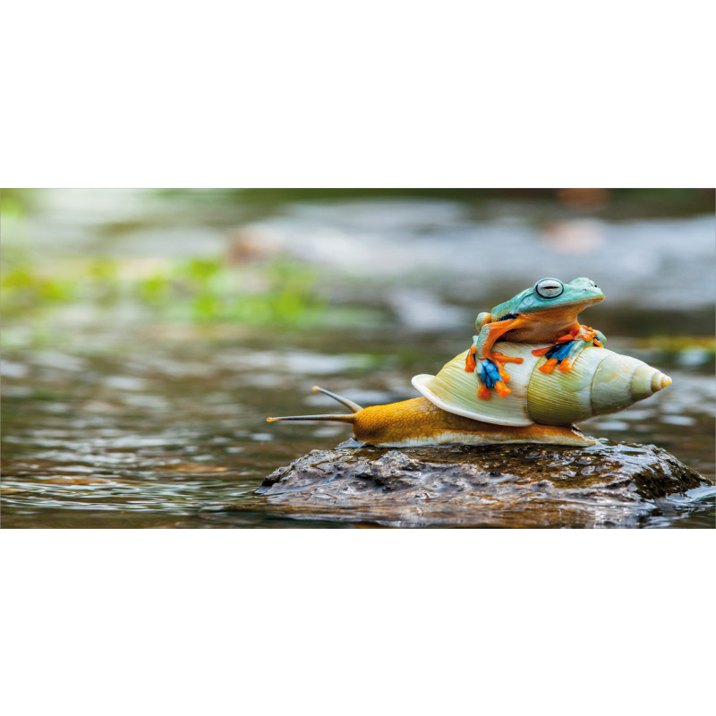 Frog Above the Snail Mug